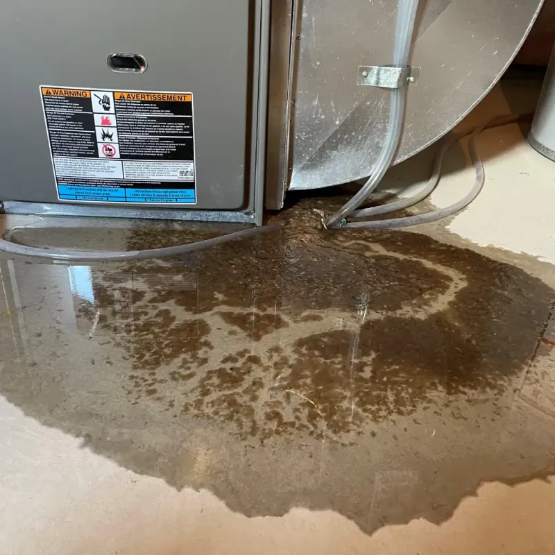 Appliance Leak Cleanup in Gem County, ID